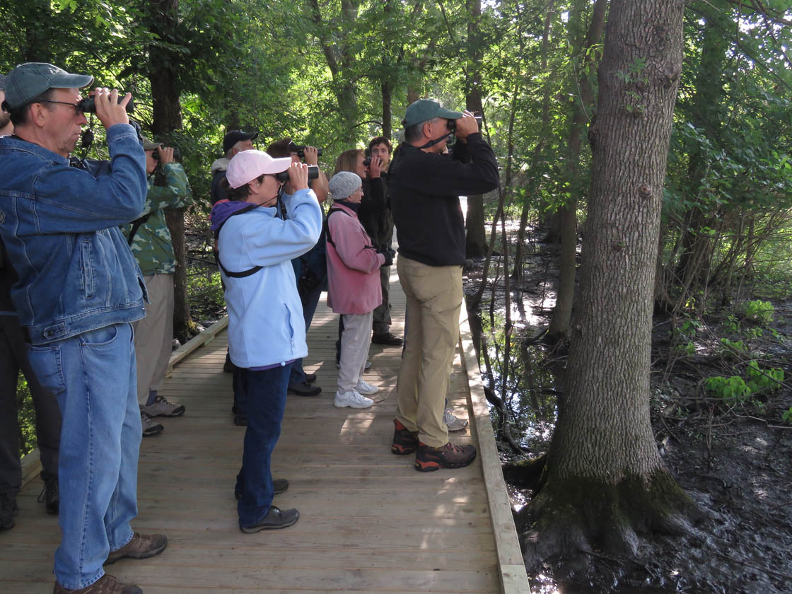 Bay Beach 2019 9 7 5581 birding