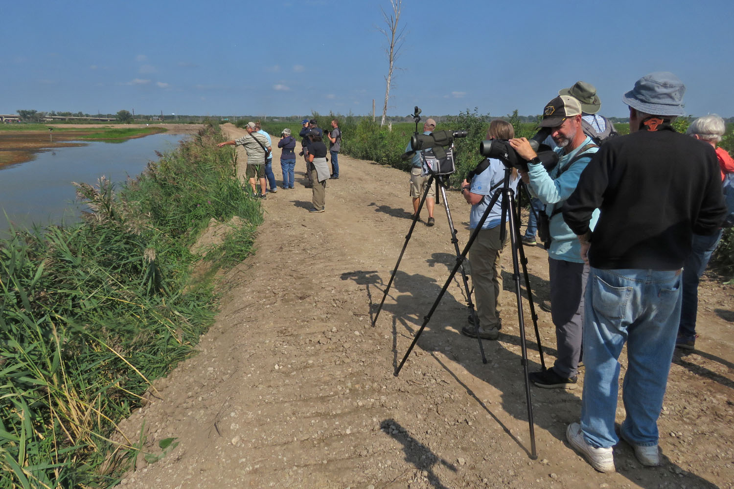 Bay Beach 2023 9 9 4788 birding at Ken Euers Nature Area