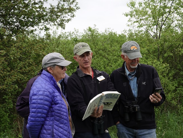 BeginnerBirdWalk