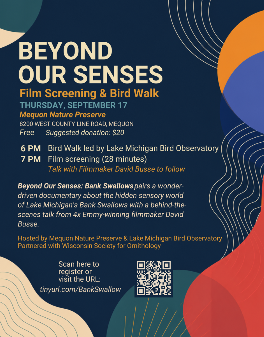 Beyond Our Senses