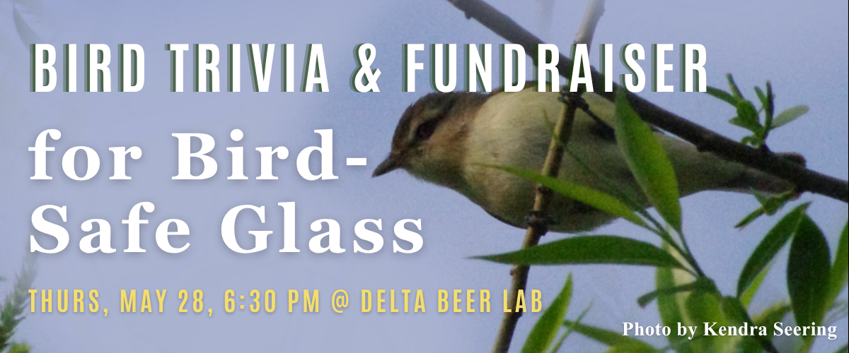 SoWBA Trivia night