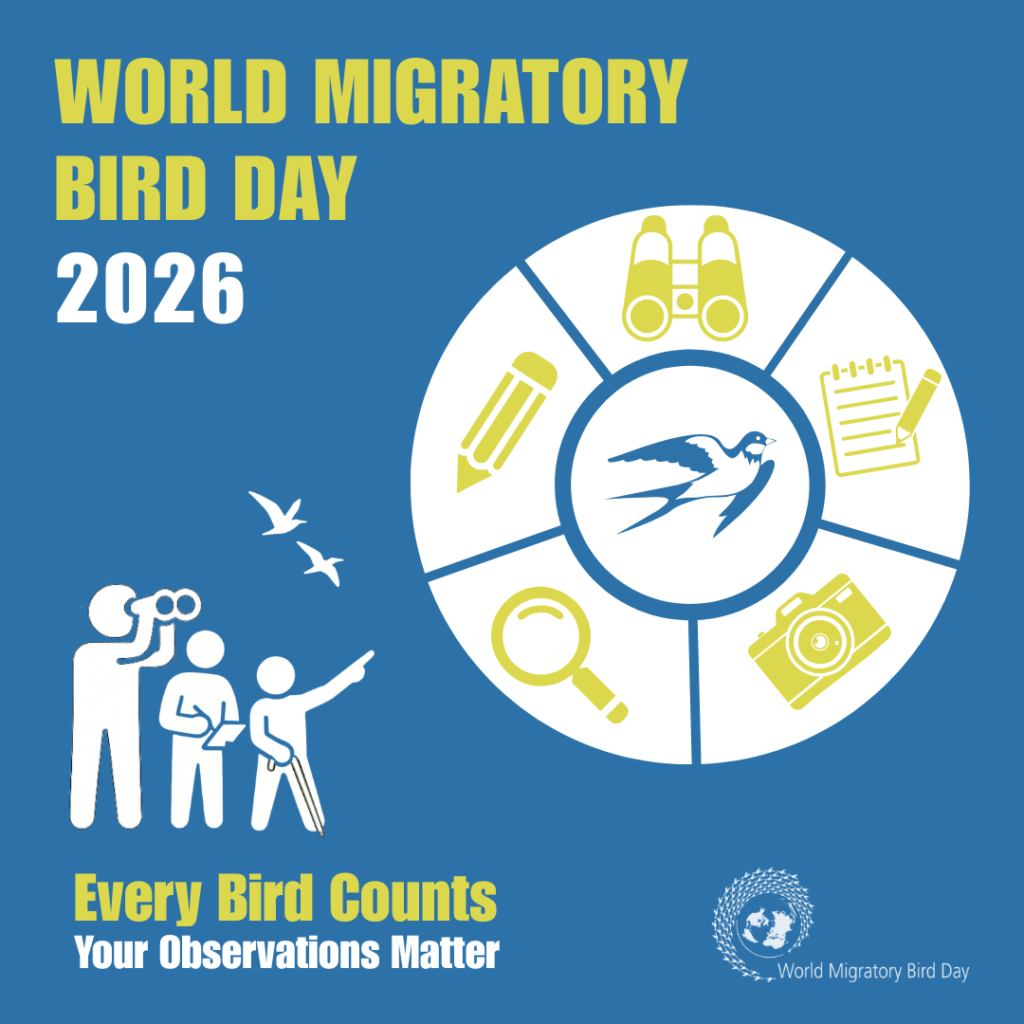World Migratory Bird Day 2026 Theme Announcement Graphic all languages 1024x1024