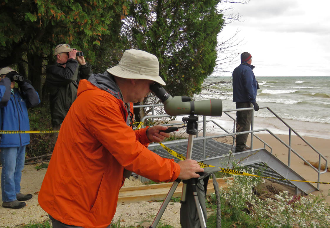 Harrington Beach 2018 10 7 7816 birding at beach