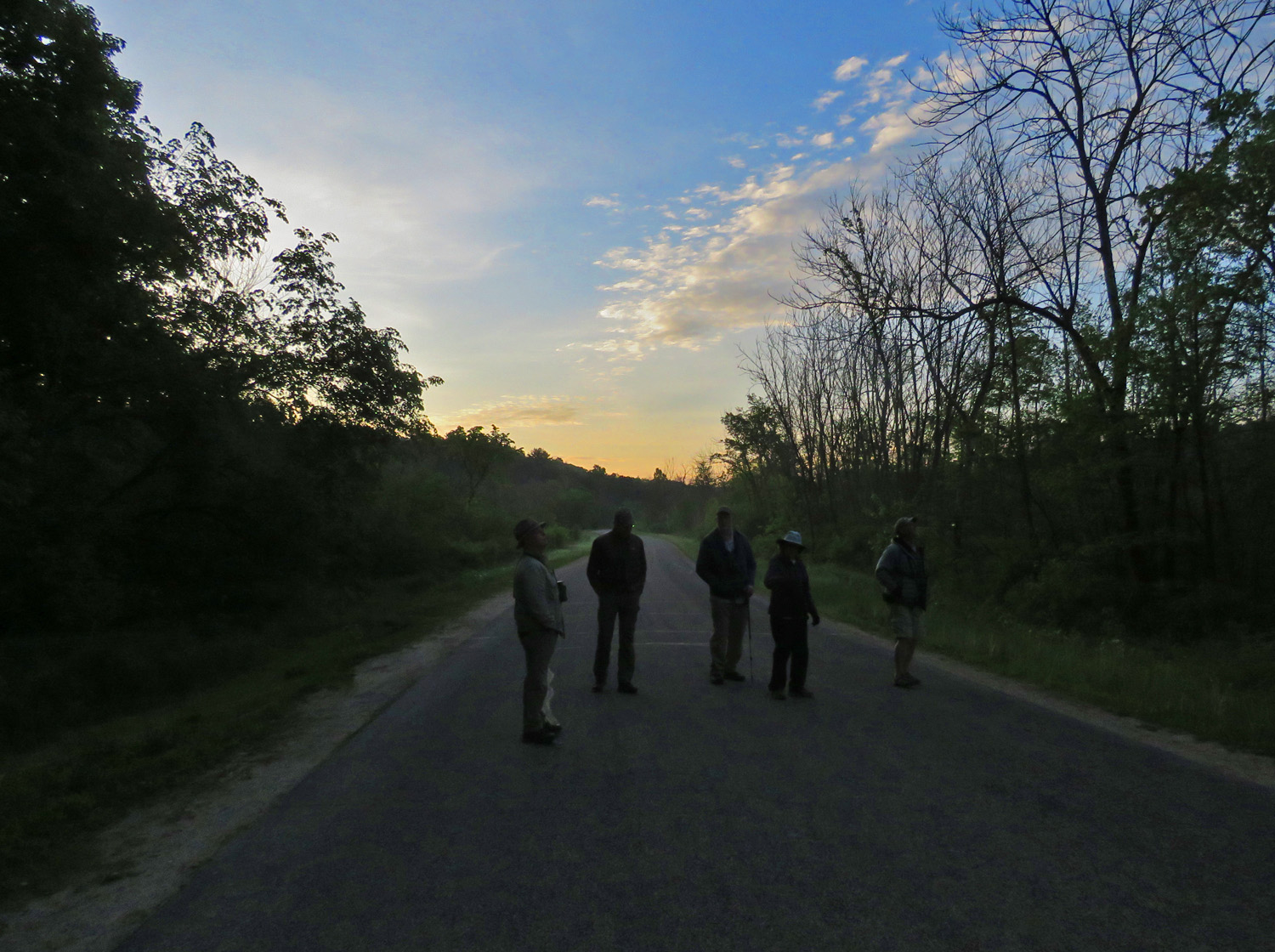 Honey Creek birdathon 2023 5 28 7833 birding on Skyview Rd