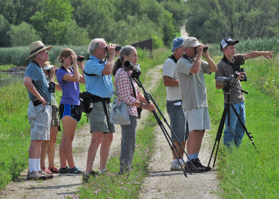 Horicon 2019 8 10 1901 birders on Old Marsh Rd