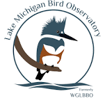 LMBO logo