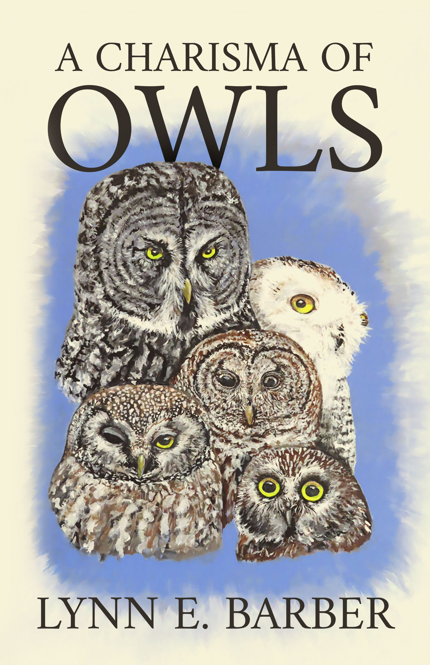A Charisma of Owls
