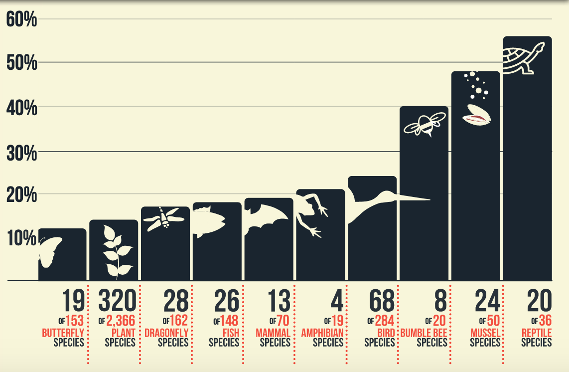 RAWA Chart 2