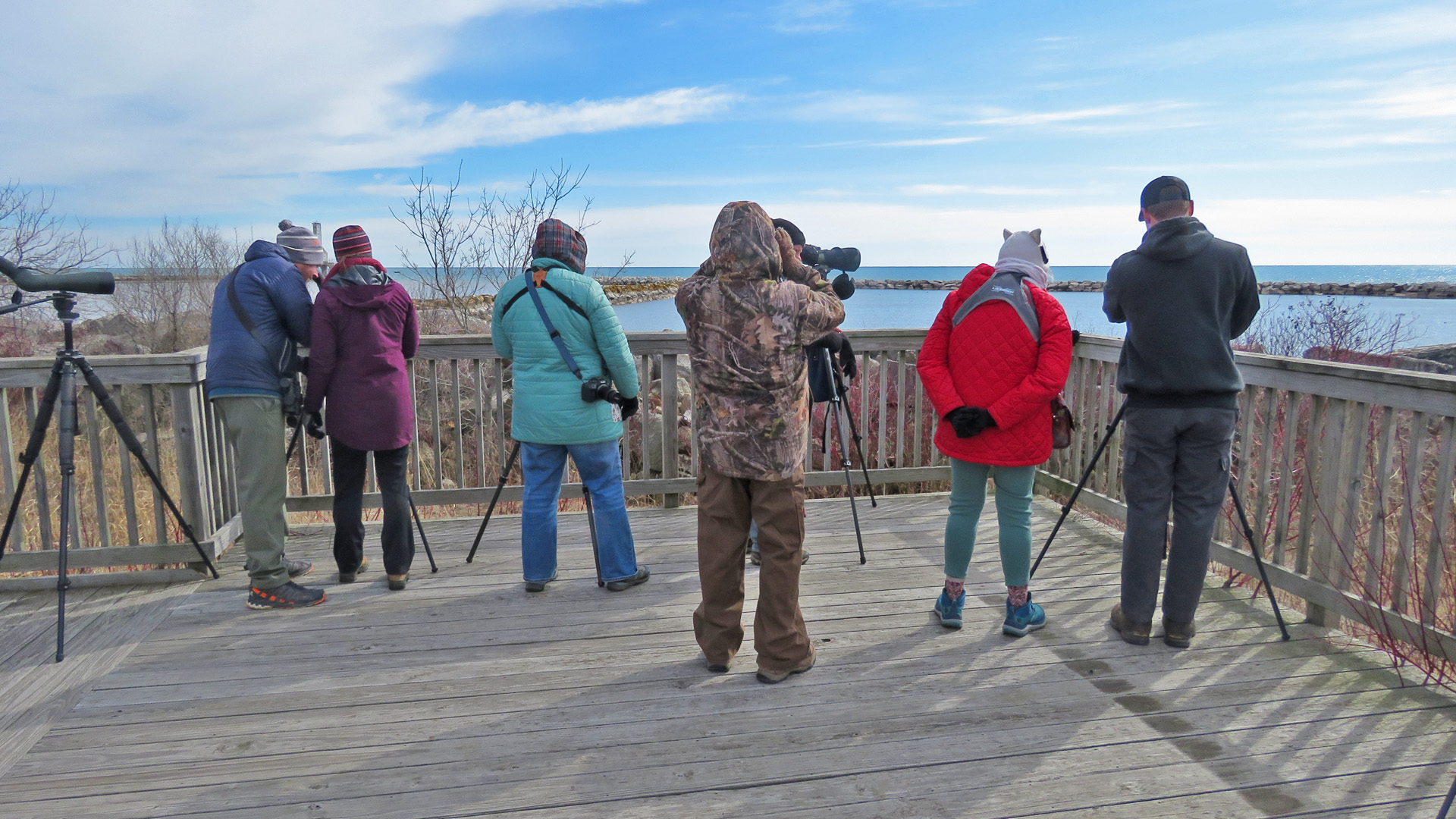 Sheboygan field trip 2025 3-8 1600 birding at Coal Dock Park - Port Washington.jpg