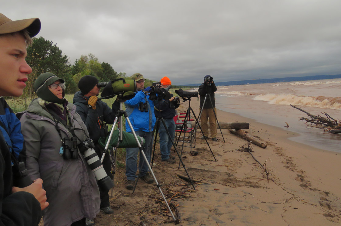 WI Point 2018 9 23 6997 birders on beach