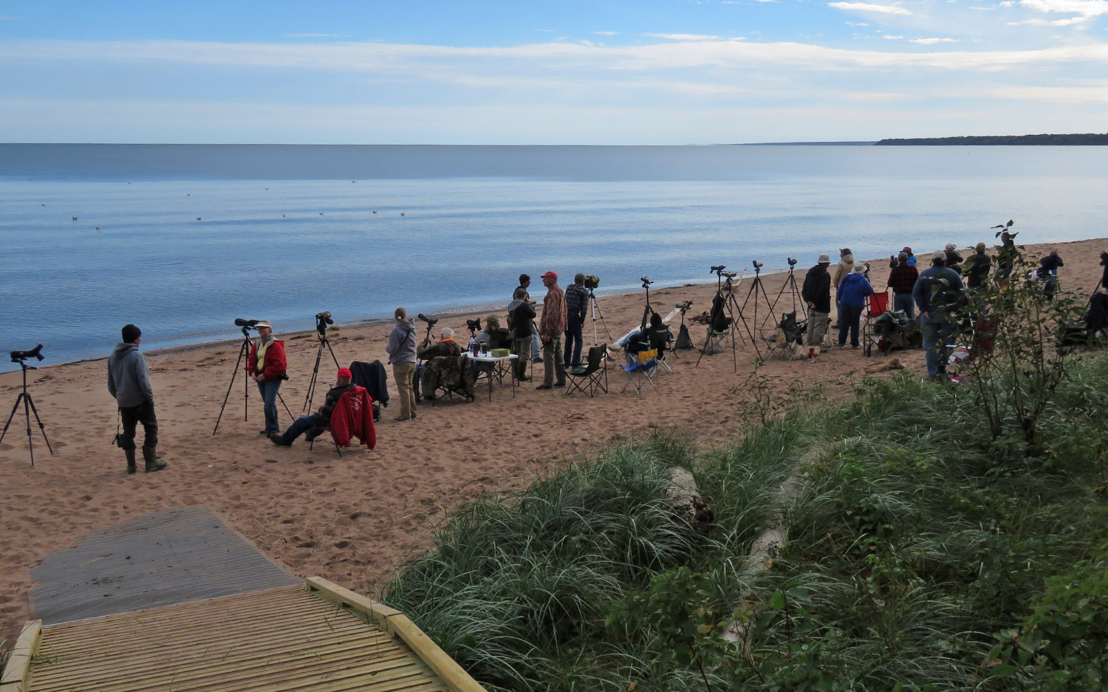 WI Point 2022 9 23 4609 birders on beach