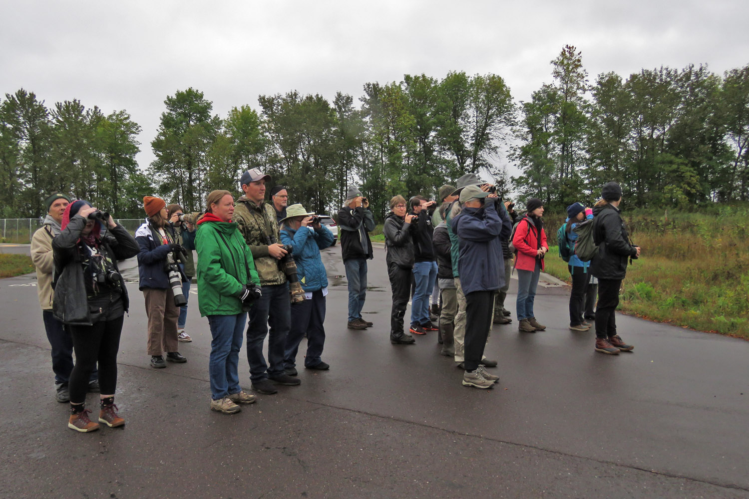 WI Point 2022 9 24 4709 birders looking at Harriss Sparrow