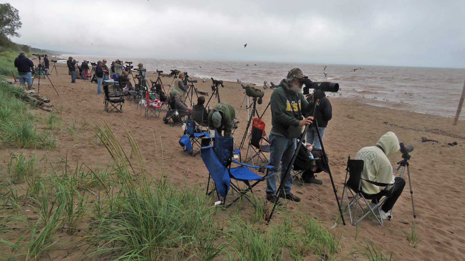 WI Point 2023 9 22 5424 birders on beach