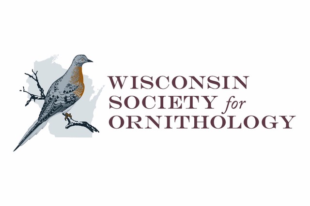 WSO Logo