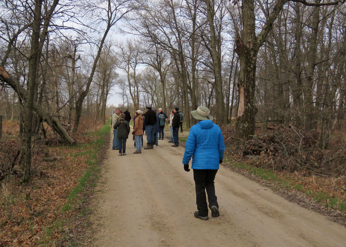 White River Marsh 2019 5 4 8000 birders on White R Rd