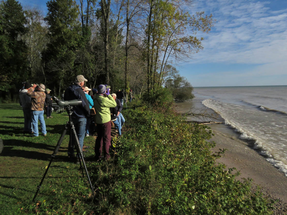 Harrington Beach 2019 10 6 9230 birding along LakeMichigan