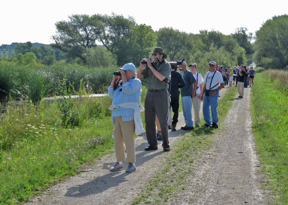 Horicon 2019 8 10 1813 Old Marsh Road