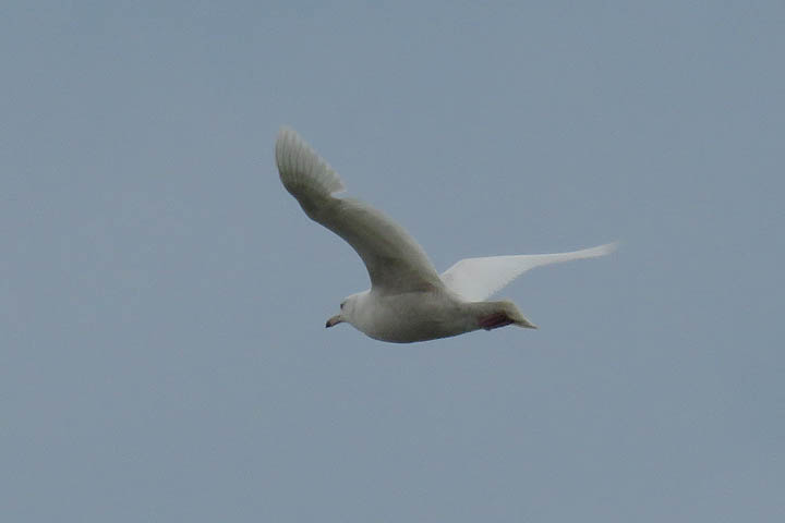 Sheboygan field trip 2019 3 10 9552 North Point Sheboygan