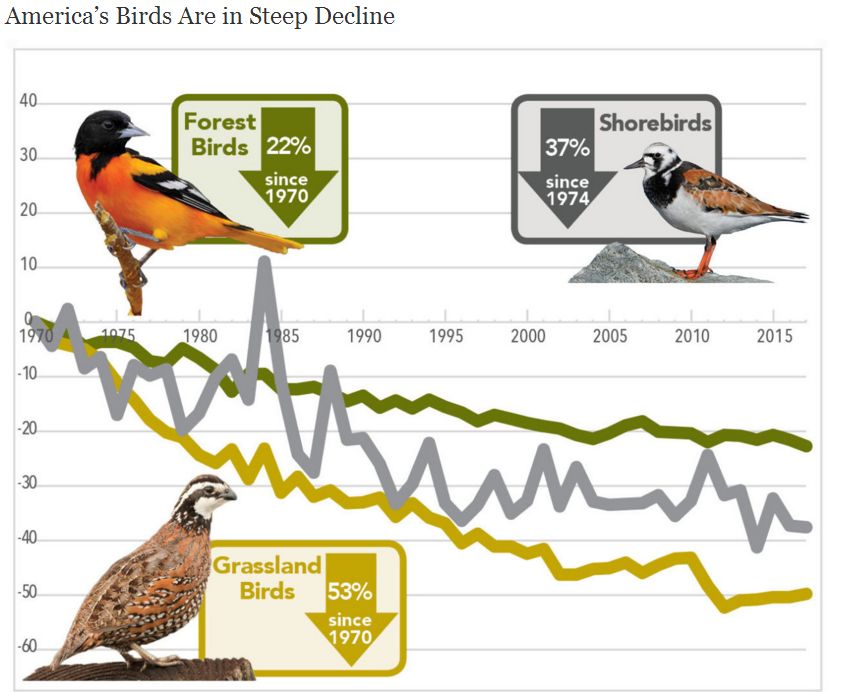 Vanish Steep decline graphic 10 19