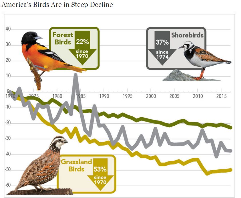 Vanish Steep decline graphic 10 19