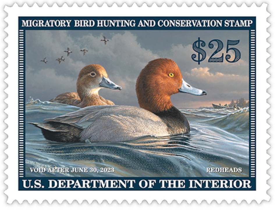 united states 2022 redheads federal duck stamp engraving lg